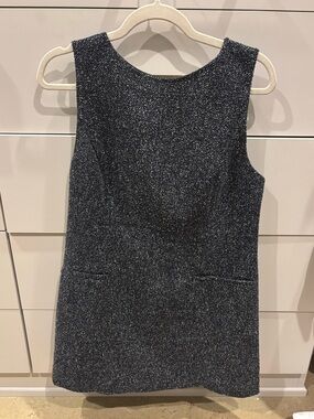 Aritzia Babaton dress